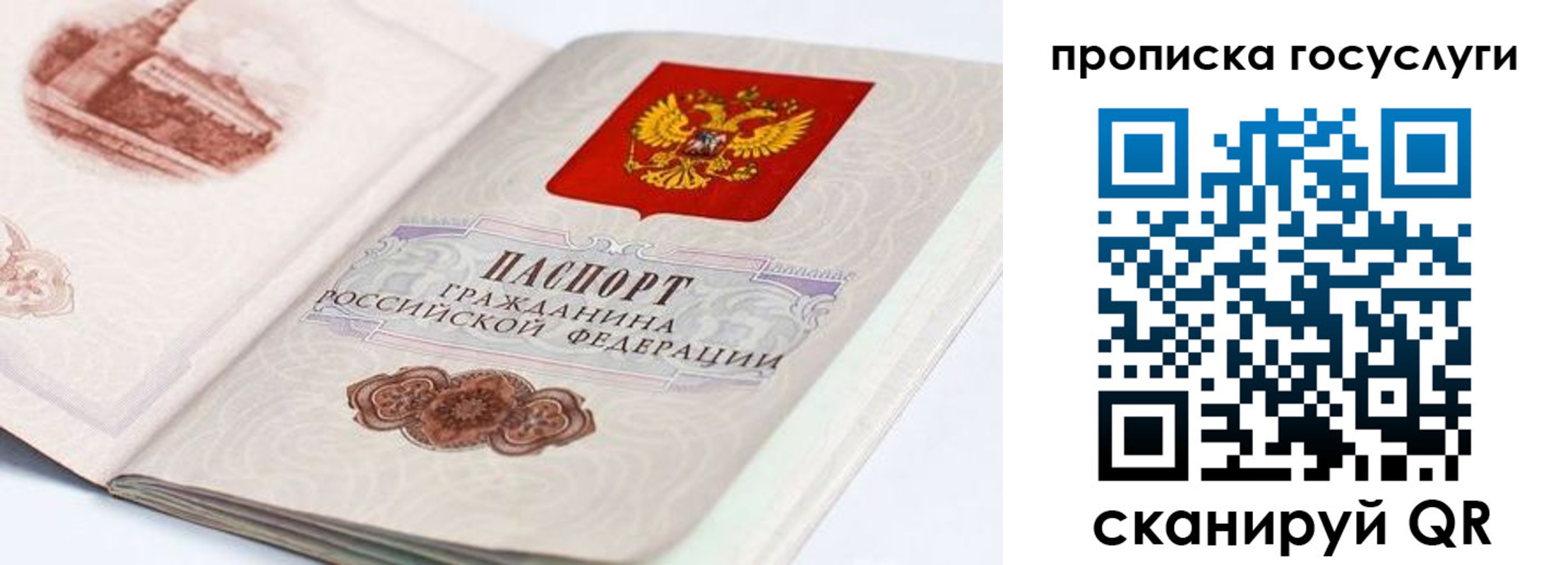 прописка гарантия в Чебаркуле